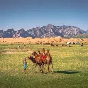 몽골/테렐지/엘승타사르하이 5일 #현대식게르[4인1실]#초원승마#사막낙타