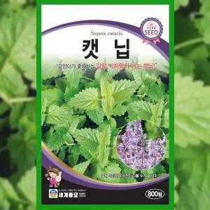 캣닙 씨앗 1g 캣닢 개박하 고양이풀 캣그라스