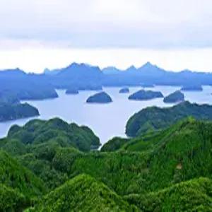 대마도 2일 #쓰시마링크호 #오후출발-리턴 #소아루 온천 리조트 #BBQ특식 #티아라몰 #대마도 핵심관광지 #온천욕