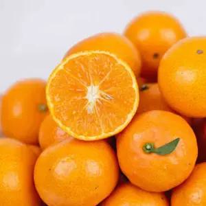 제주 미니향 2kg/ 크기는 미니 당도UP 산도DOWN 더맛있는 작은귤