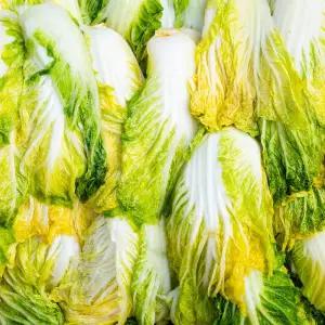 직접 키운 배추로 절인 전라도 절임배추 10kg