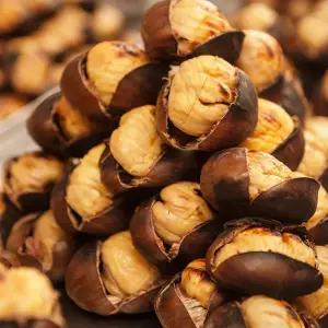 영양간식 칼집 약단밤 4kg