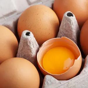 난각번호1번 유정란 무항생제 자연방사 대란 계란 달걀