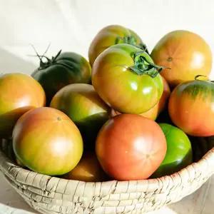 [흙이음] 대저 단짠단짠 짭짤한 토마토 2.5kg