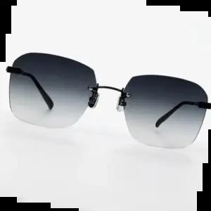 선글라스 굿윌 1003 무테선글라스 다리-티타늄 펑키라이언