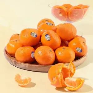 달콤왕 고당도 만다린 9kg(99~135과)