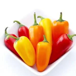 국내산 미니파프리카 꼬마파프리카 1kg4팩