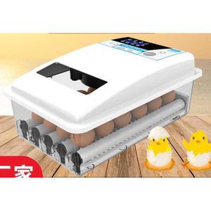 병아리부화기 메추라기 계란 자동 부화기 달걀 정전 회전