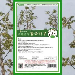 [파머씨드]참죽 나무 씨앗 20g 산나물 종자 조경수 정원수 수목