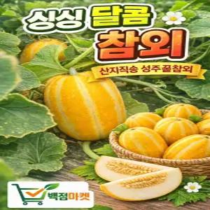 가정용 성주참외 고당도 꿀참외 당도선별 백점마켓 로얄중과 3kg