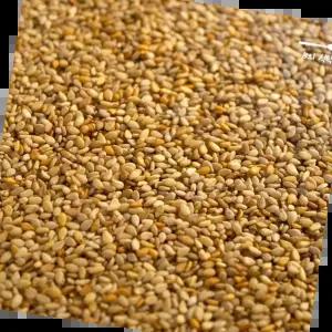 국산깨 B의식탁 볶은 참깨 볶음참깨 1kg