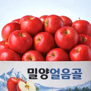 [당일행사] 초고당도 황금 햇 부사 사과 가정용, 1박스, 10kg