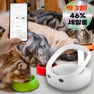자동급식기 내밥이야 고양이 인식 RFID 슈어피드 다묘가정 강아지 반려동물 사료 다견