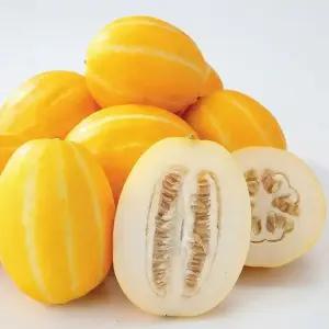 성주 햇살 담은 프리미엄 성주 꿀 참외 가정용 참외 2kg내외 [꼬마랜덤과/혼합과수]