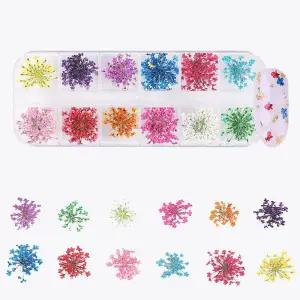 네일아트 생화네일 말린 꽃 드라이플라워 12종 세트 CUL8+7vda