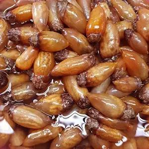 [사계절을그대로담은]진동 미더덕 미더덕회 1kg