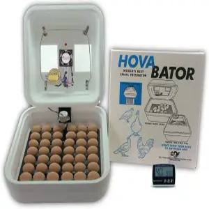 닭 메추라기 오리 및 파충류 알 부화를 위한 1602N 호바 베이터 인큐베이터 제조