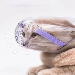 고양이 입마개 마스크 물림방지 보호 투명 헬멧