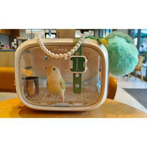 앵무새 이동장 외출 야외 대형견집 온도조절 핑크 햄스터 운반 공주풍 배낭