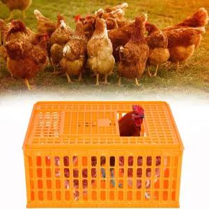 루카 1피스 가금류 운반 상자 플라스틱 닭 운송 케이지 대형 성체 오리 거위 10-13마리 29.5 x 21.7 13