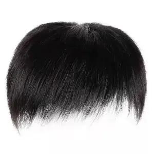 짧은머리 남성가발 자연 여름 정수리 가발 스타일