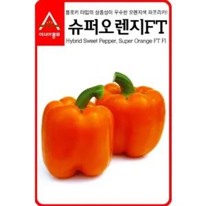 오렌지색 파프리카 씨앗 슈퍼오렌지FT 파푸리카 종자/텃밭/관리/용이/종묘/육성/농업/모종/씨/품종/재배