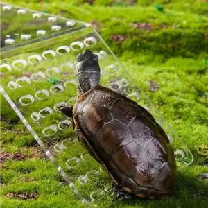 거북이 집 꾸미기 쉼터 놀이터 은신처 소형 거북이육지 도마뱀 거북이쉼터 파충류육지