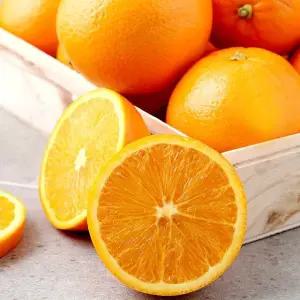 캘리포니아 블랙라벨 네이블 오렌지 11kg (특대과/25~37과)