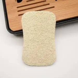 [룽스]제로웨이스트 주방 식물수세미 수세미 식물