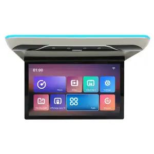 카니니터 차량용 카라반 디스플레이 19인치 자동차