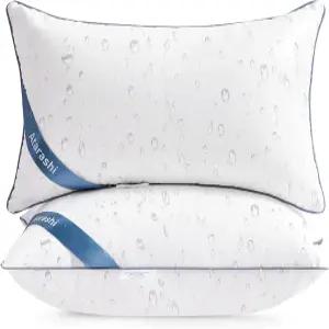 아타라시 12x20 야외 베개 삽입물 - 방수 요추 소파 침대 파티오 가구용 장식용 던지기 2팩