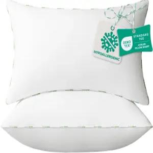 쿠션 솜 (2개입 12 x 20인치 화이트) - 저자극성 100 버진 파이버 럼바 폼 마이크로화이버 침대 및 소파용