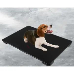 애견샵 체중계 대형견체중계 반려묘 바닥 유기견 검진용