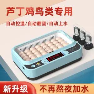 병아리 부화기 달걀 계란 조류 메추리 오리 닭 유정란 알 자동 부하기 앵무새 닭장 6란