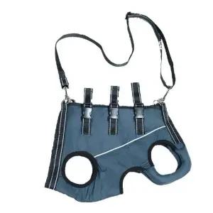 강아지척추보조기 노견 디스크 사계절 허리보호대