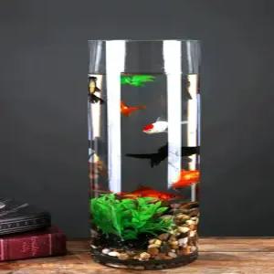 원통 수조 거실 가정용 투명 구피 타워 탱크 물멍 높이