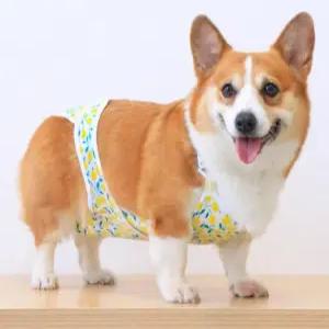 강아지매너벨트 생리팬티 올인원 중형견 대형견 수컷 멜빵