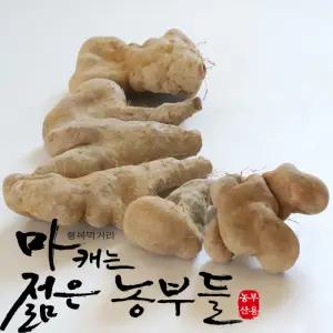 마 부용농산 산마2kg 안동마 젊은농부들  안동참마 알뜰마