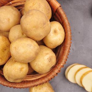 포근포근 감자 10kg 20kg 선별발송