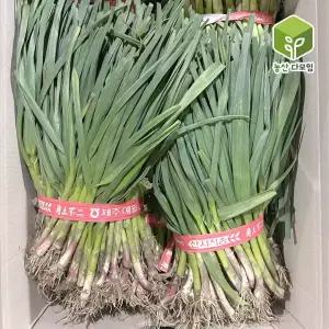 국내산 잎마늘 풋마늘 1단 2kg내외