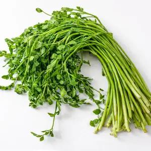 제철 봄 채소! 향긋한 청도 미나리 400g 특품