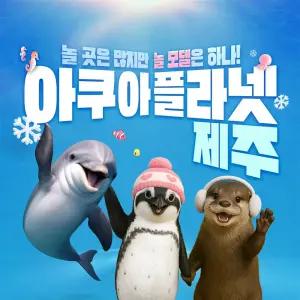 아쿠아플라넷 제주 입장권 & 늦은오후권 (26.03월)