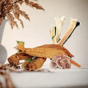 중장년 기력보충 홍삼파우치 녹용액 선물세트