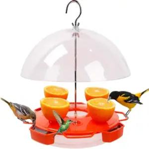 솔루션4파티오 볼티모어 오리올 피더 벌새 조합 3종 식품 오렌지 포도 젤리 꿀 34온스 용량 웨더 가드