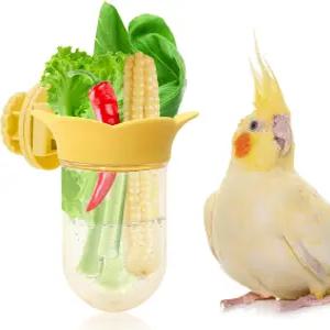 채소용 새장 먹이기 채소를 신선하게 보관할 수 있는 물 저장 설계가 된 앵무새 채소 홀더 앵무새를 위한