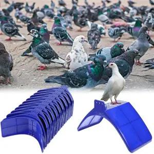 호환  비둘기 휴식대 20개 플라스틱 경량 비둘기 둥지대 새 둥지 홀더 사육장 -ABQU