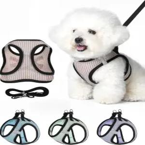 버널리 강아지 하네스 소형 및 목줄 세트 부드러운 가벼운 조끼 착용 강아지와 고양이에게 적합한 통기성