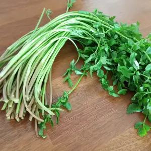 연하고 부드러운 신선한 제철 청도 미나리 1kg