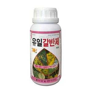 유일갈반제500ml 복숭아 사과 배 포도 블루베리 감 매실 과수 고추 배추 마늘 양파 채소 감자 고구마 텃밭 비료 영양제 잎황화 갈변 낙엽 방지 수세회복