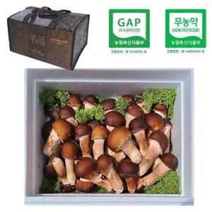 무농약인증 참송이버섯 가정용500g / 1kg 당일수확 신선도 최고